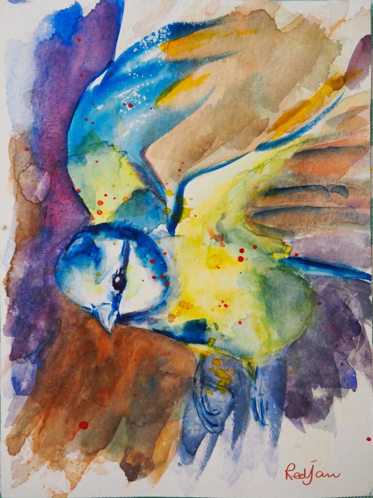 Watercolour blue tit, British Garden bird