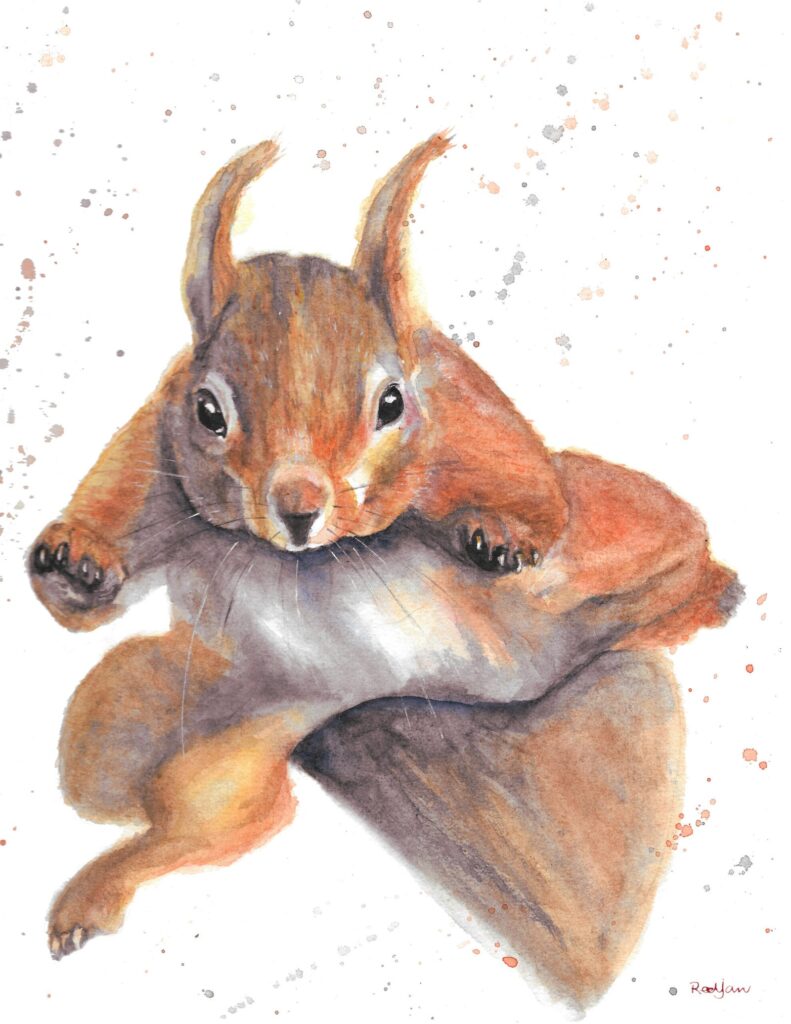 Flying squirrel painting, Scottish red squirrel watercolour wall art